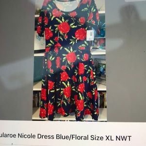 Lularoe nicole new dress
